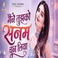 Maine Tujhko Sanam Chun Liya