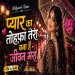 Pyar Ka Tohfa Tera Bana Hai Jeevan Mera